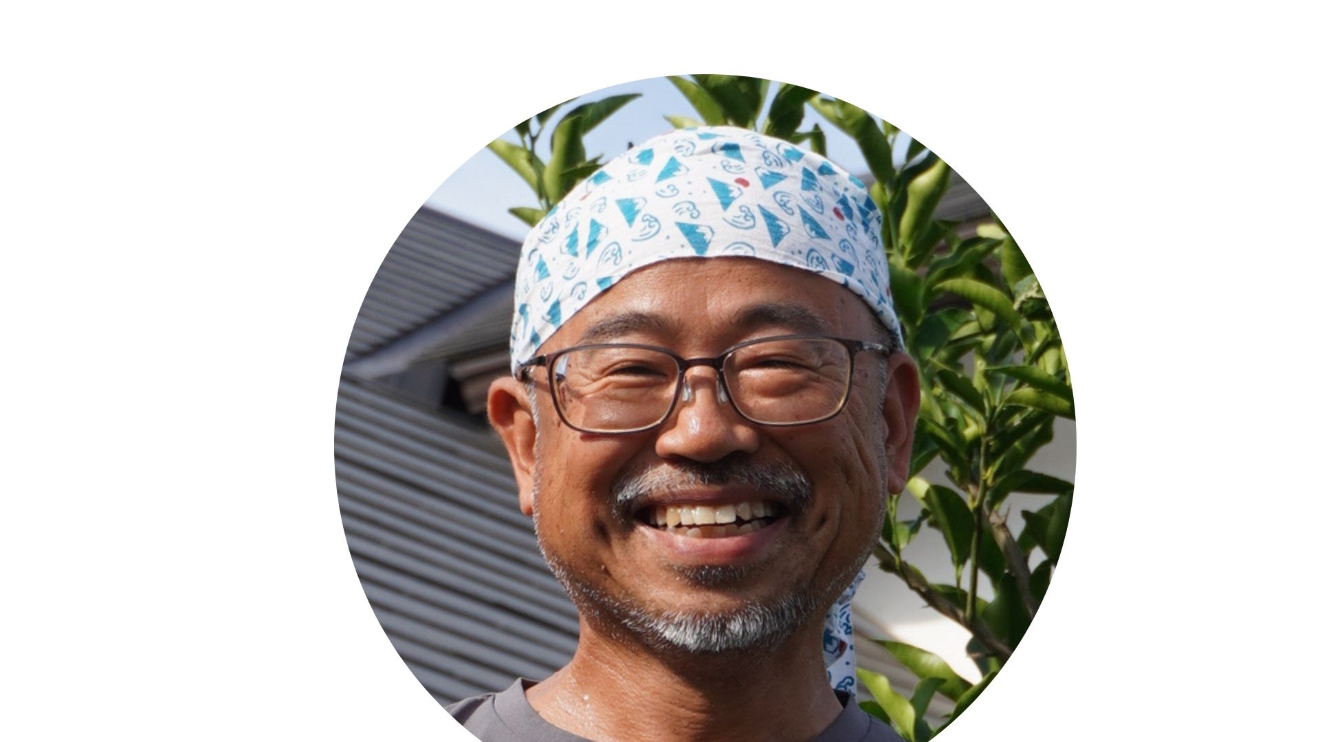 庭木の福松